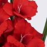 Гладиолус искусственный 102H красный (9 цветков + 4 бутона + 2 листа)