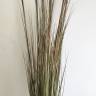 Композиция из искусственных растений «Пампасная трава в Капи»