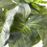 Каладиум искусственный куст 18 листов, темно-зеленый в белом кашпо Д30 Н25 см