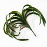 Зелень декоративная листья Лилейника искусственные силикон