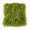 Мох Ягель коврик-газон 25х25 см модульный искусственный зелёный микс