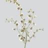 Орхидея искусственная Онцидиум 117H белая (ветка большая)