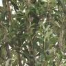 Оливковое дерево искусственное 140H (Пирамидальная крона)