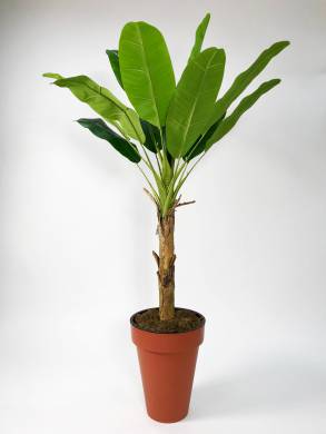 Пальма искусственная банановая 150H (12 листов)