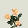 Искусственные розы Джессика real-touch персиковая 3 шт H72 см