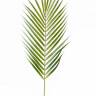 Пальмовый лист искусственный Хамедореи зеленый H75см