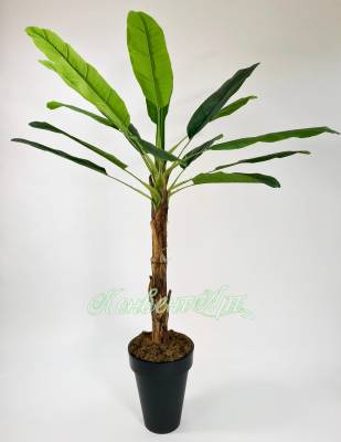 Пальма искусственная банановая (15 листов) 180Н в кашпо КУБИ Слим 35,5х35,5х44H  антрацит