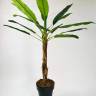 Пальма искусственная банановая (15 листов) 180Н в кашпо КУБИ Слим 35,5х35,5х44H  антрацит