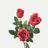 Искусственные розы Джессика real-touch красные 3 шт H72 см  (полуоткрытая)