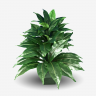 Сансевиерия искусственное растение 11 листов Д50 Н48 см. зеленая