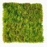 Мох Ягель коврик-газон 50х50см фитомодуль искусственный зелёный микс