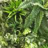 Фитостена из искусственных растений «Джунгли» 1м2					 