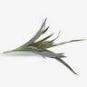 Трава для декора Хлорофитум хохлатый куст искусственный зелено-розовый Н45 см