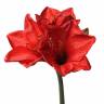 Амариллис real-touch 9Dx60H красный (2 искусственных цветка + 1 бутон)