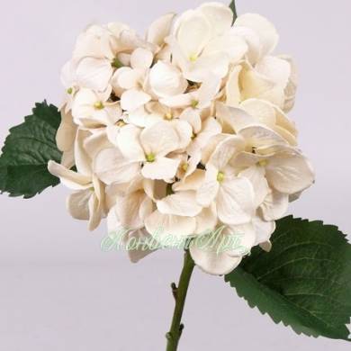 Гортензия Винтаж искусственный цветок 16Dx68 кремовый (3 листа)