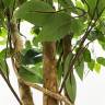 Фикус Бенджамина искусственное 3-х ствольное дерево, зеленый D80 Н150см