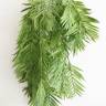 Пальма Хамедорея зеленая искусственная ампельный куст 5 веток Н80 см