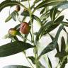 Ветка оливковая искусственная с плодами Н90 см