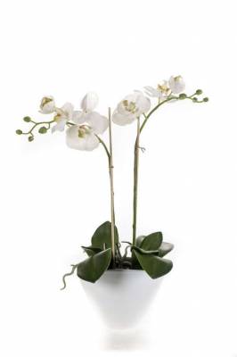 Орхидея Фаленопсис 50H белая искусственная (в овальном белом глянцевом керамическом кашпо)