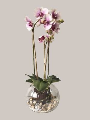 Композиция из искусственных орхидей «Силуэт»   