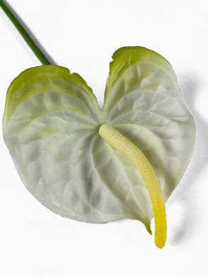 Антуриум цветок искусственный бело-зеленый D12 Н60 см