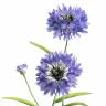 Василек 62H голубой (3 искусственных цветка + 1 бутон) 1