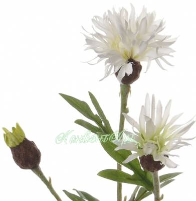 Василек искусственный 60H белый (4 цветка + 1 бутон)