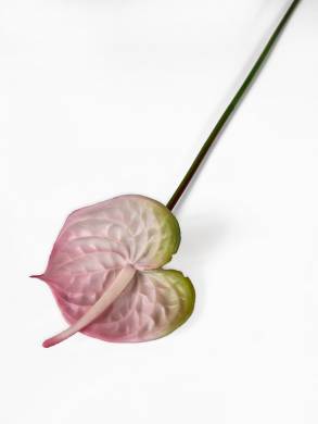 Антуриум цветок искусственный светло-розовый D12 Н60 см