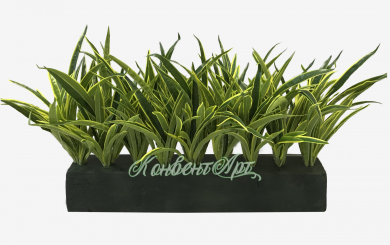 Трава хлорофитум хохлатый Оушен кустовой искусственный в модуле L60 W10 H10 см					