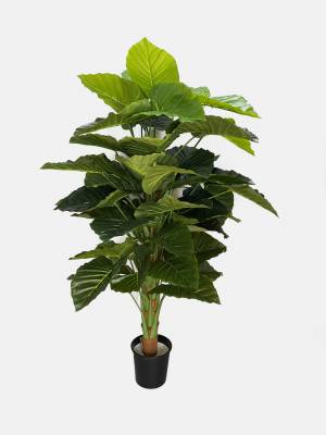 Алоказия крупнокорневая искусственное дерево 52 листа, D90 Н160 см