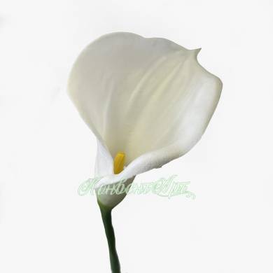  Калла белая искусственный цветок Д12 Н70см 