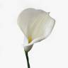  Калла белая искусственный цветок Д12 Н70см 