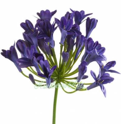 Агапантус искусственный цветок для декора 75H голубой