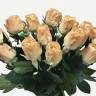Букет из персиковых искусственных роз Джой  68H (25шт)