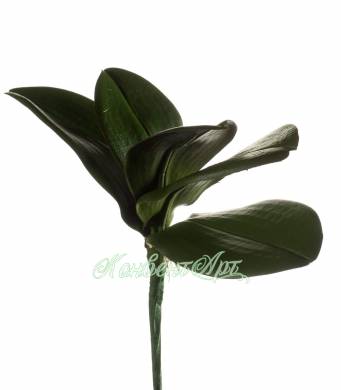 Листья орхидеи фаленопсиса х5 искусственные темно-зеленые Н25 см