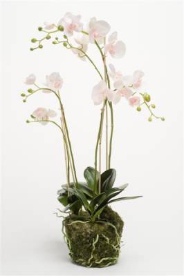 Орхидея искусственная Фаленопсис с корнями и листьями в торфе 80H бело-розоватый