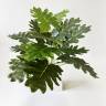 Филодендрон Гигант кустовой искусственный 18 листов, зеленый D60 Н50 см