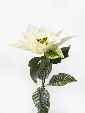 Пуансеттия цветок искусственный D20 Н60 см, крем