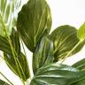 Спатифиллум куст искусственный 18 листов, зеленый, D60 Н60 см