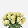 Букет из 25 зелено-белых искусственных роз Джессика 72H