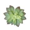 Суккулент искусственный Эхеверия (каменный цветок) D11 см, зеленая