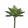 Суккулент искусственный Эхеверия (каменный цветок) D11 см, зеленая
