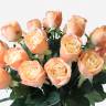 Букет из персиковых искусственных роз Джессика 72H (25шт)