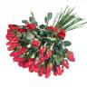 Новогодний букет «Заснеженные красные розы» D40 H65 см