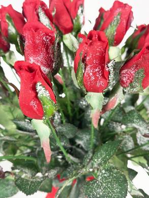 Новогодний декор «Заснеженные красные розы» в вазе БОГЕМИЯ