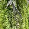 Фитостена из искусственных растений "Лоза Джунгли" 