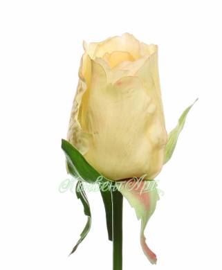 Искусственная роза для декора real-touch Джой H68 см кремовая (бутон)