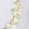 Орхидея Цимбидиум искусственая JAMBO 91H кремовый (10 цветков)