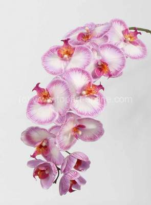 Орхидея искусственная Фаленопсис "Jumbo" real-touch 11Dx102H бело-розовый (11 цветков)