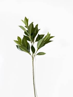 Ветка декоративная с зелеными листочками Лигуструма (Бирючина) Н75 см